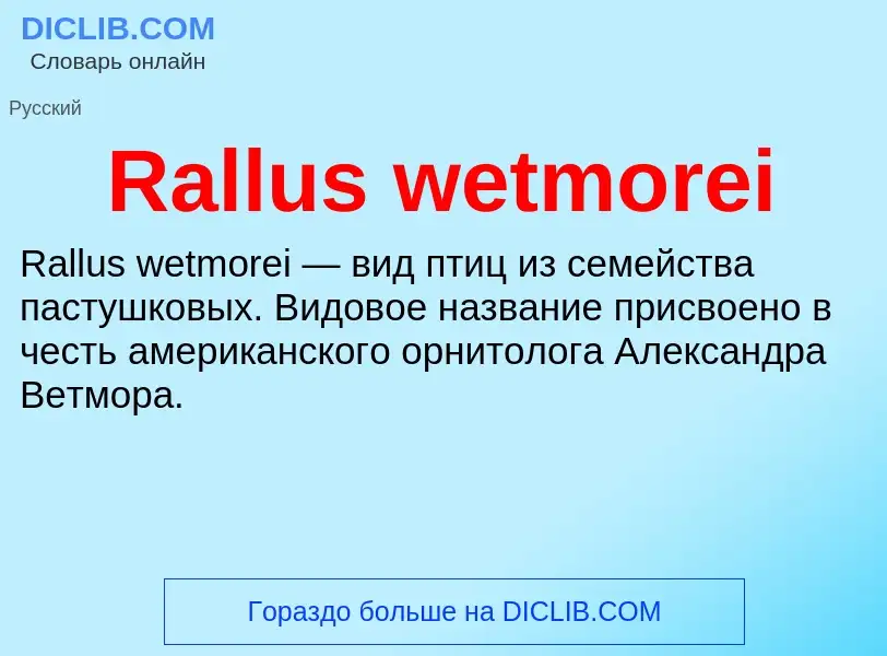 Что такое Rallus wetmorei - определение