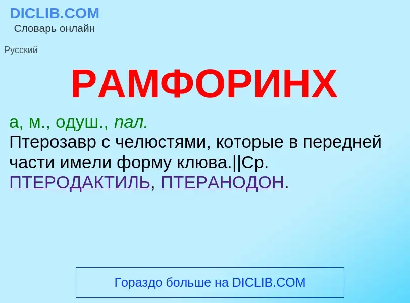 O que é РАМФОРИНХ - definição, significado, conceito