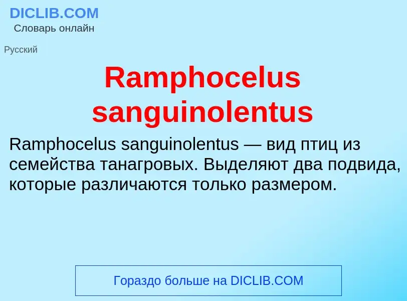 Τι είναι Ramphocelus sanguinolentus - ορισμός