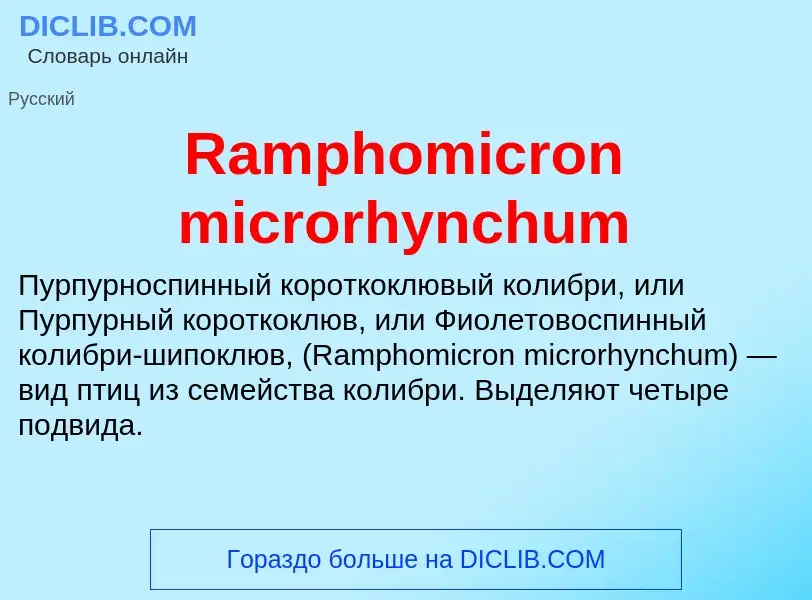 Τι είναι Ramphomicron microrhynchum - ορισμός