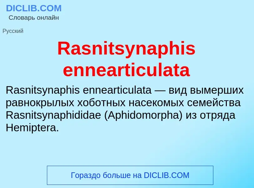 Τι είναι Rasnitsynaphis ennearticulata - ορισμός