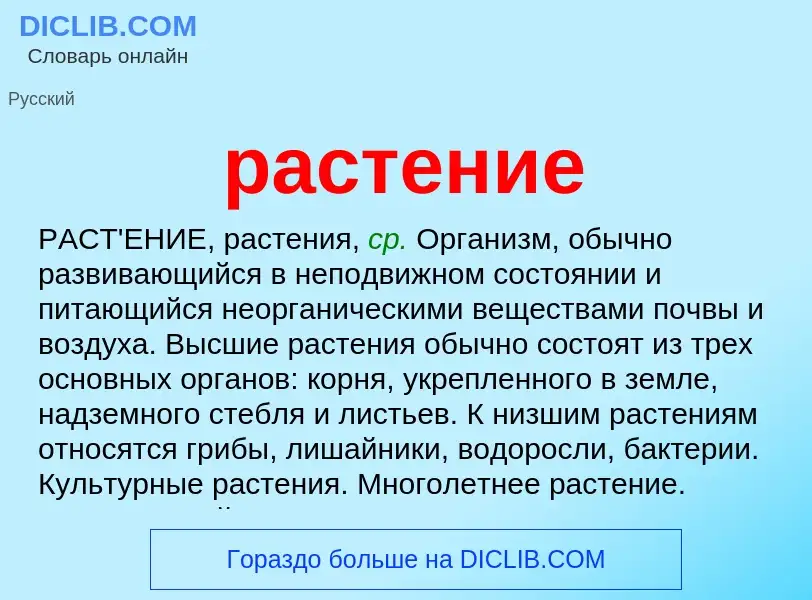 Что такое растение - определение