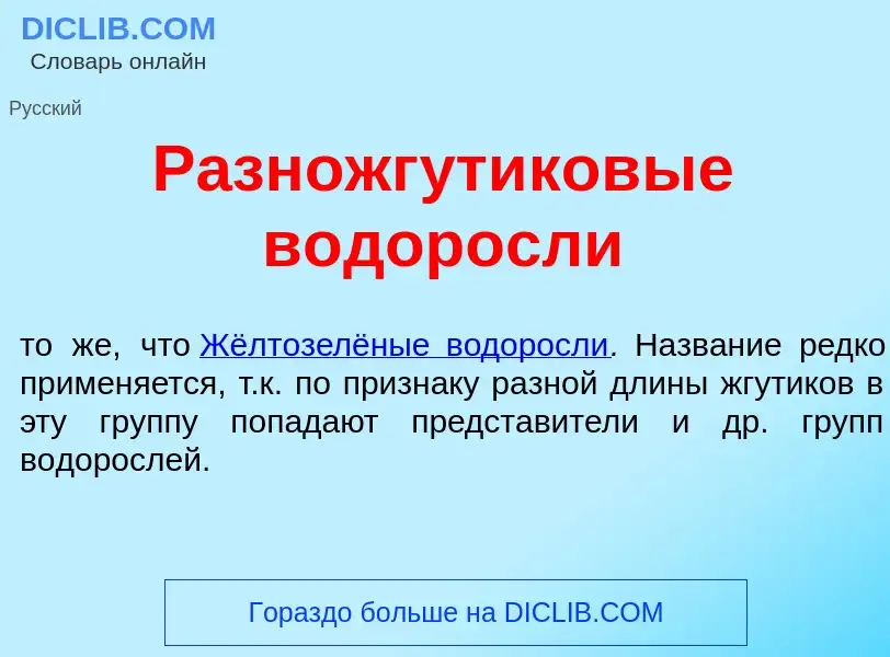 What is Разножг<font color="red">у</font>тиковые в<font color="red">о</font>доросли - definition