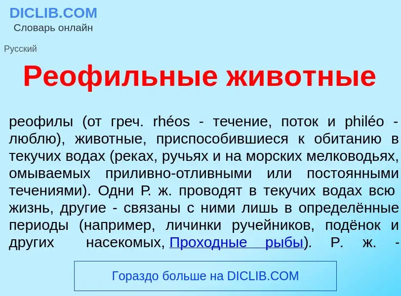 Was ist Реоф<font color="red">и</font>льные жив<font color="red">о</font>тные - Definition