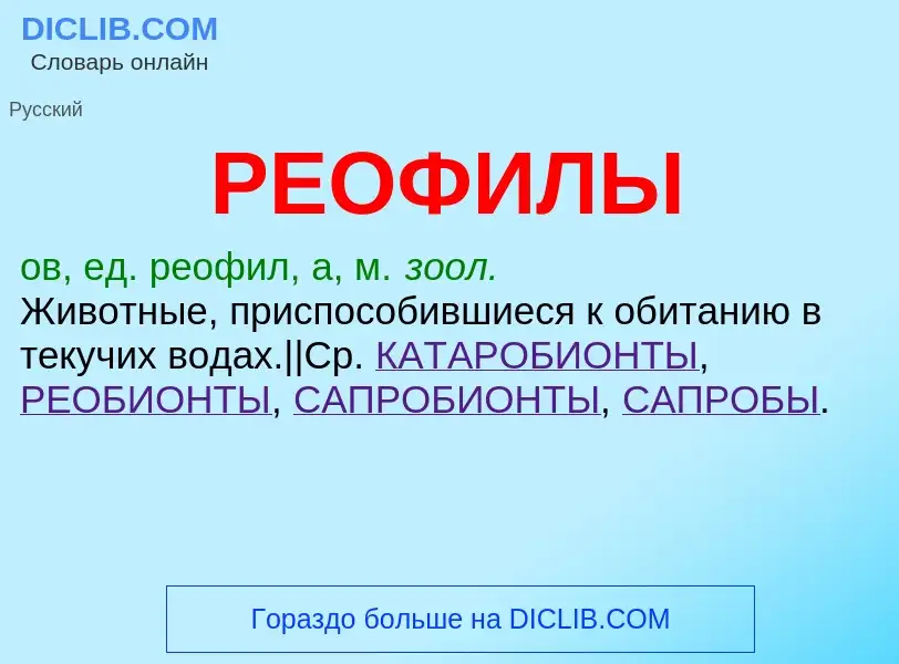 ¿Qué es РЕОФИЛЫ? - significado y definición