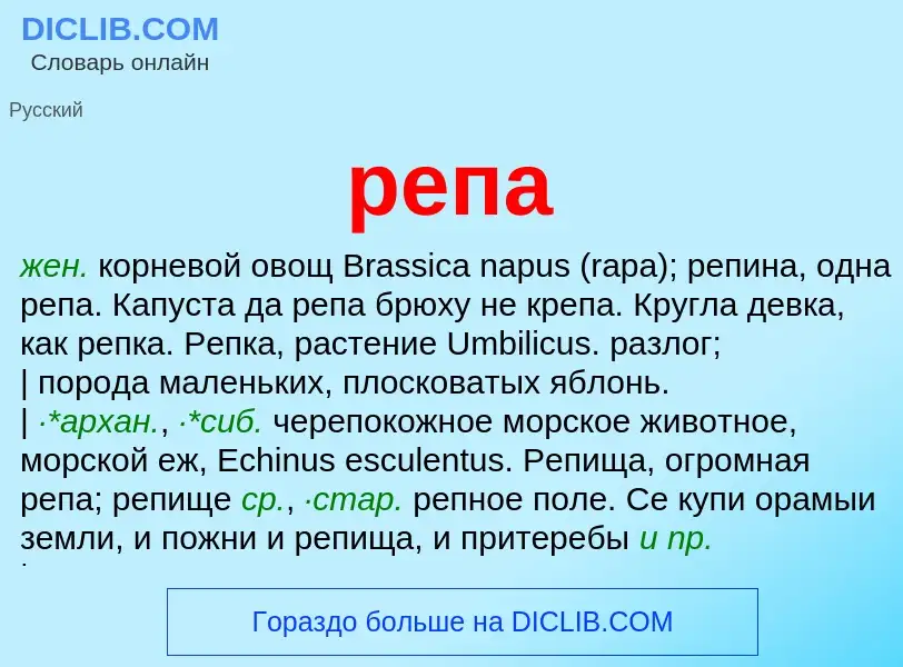 Was ist репа - Definition