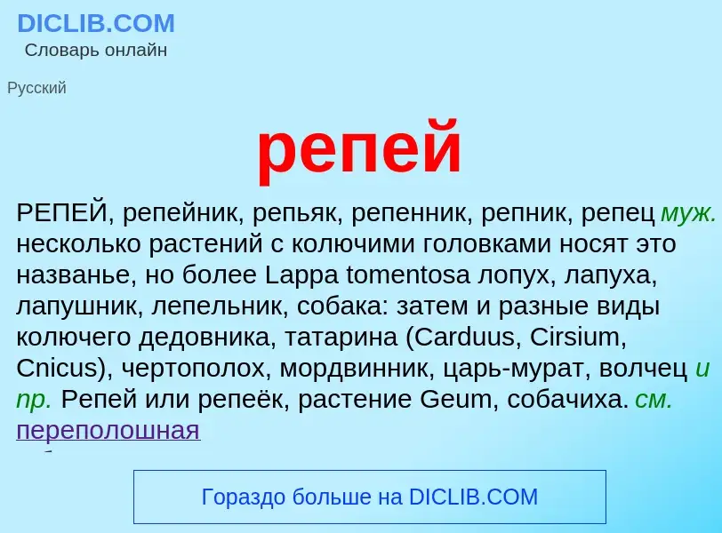 Was ist репей - Definition