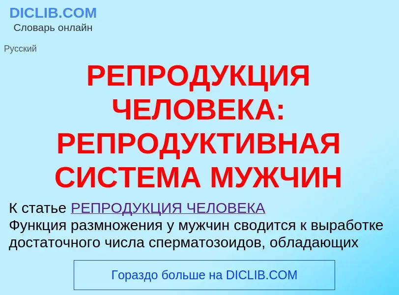 Что такое РЕПРОДУКЦИЯ ЧЕЛОВЕКА: РЕПРОДУКТИВНАЯ СИСТЕМА МУЖЧИН - определение