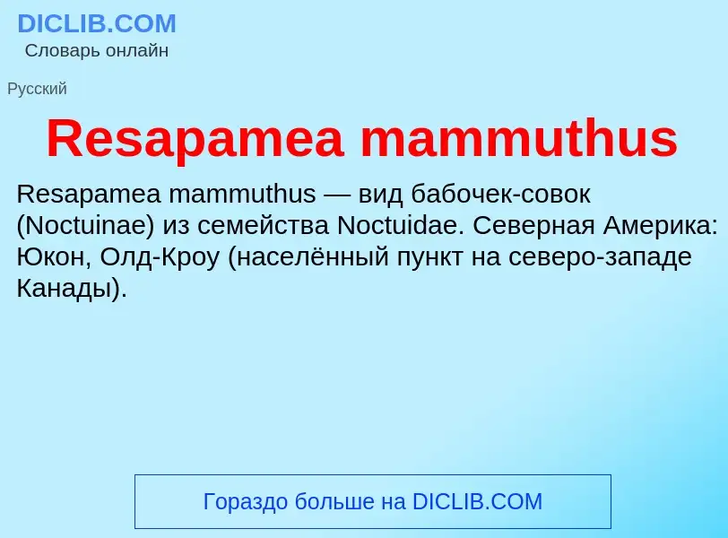 Что такое Resapamea mammuthus - определение