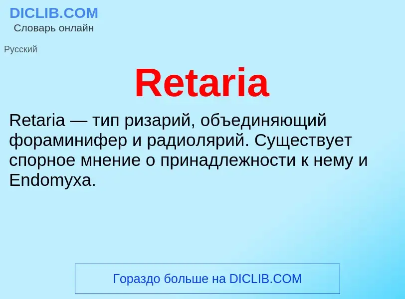 Что такое Retaria - определение