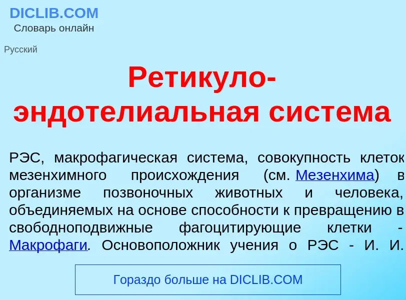 Che cos'è Рет<font color="red">и</font>куло-эндотели<font color="red">а</font>льная сист<font color=