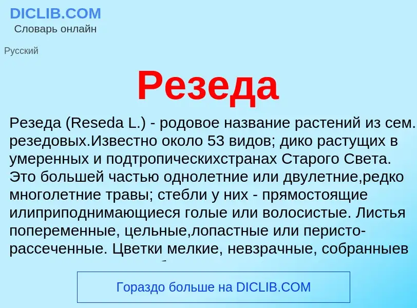 O que é Резеда - definição, significado, conceito