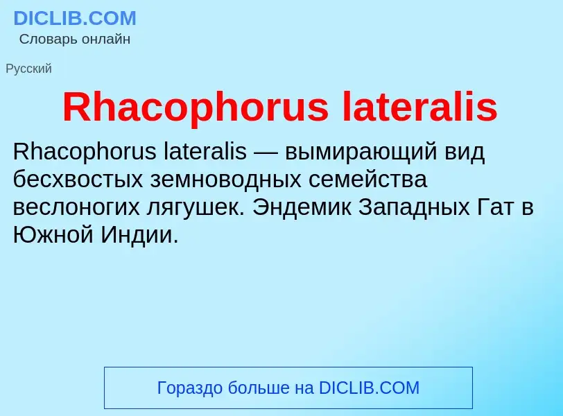 Что такое Rhacophorus lateralis - определение