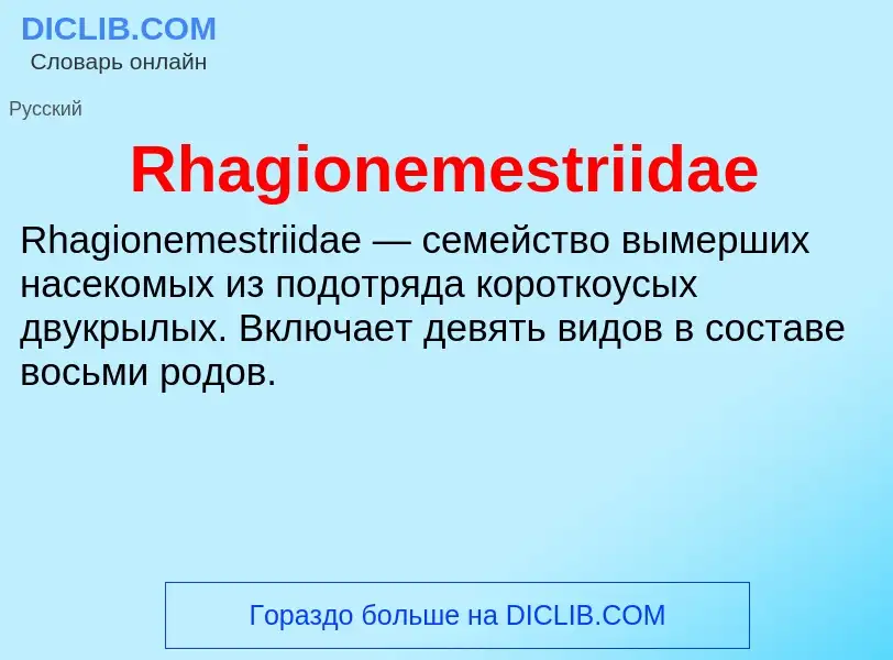 Что такое Rhagionemestriidae - определение