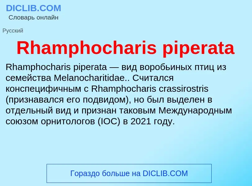 Что такое Rhamphocharis piperata - определение