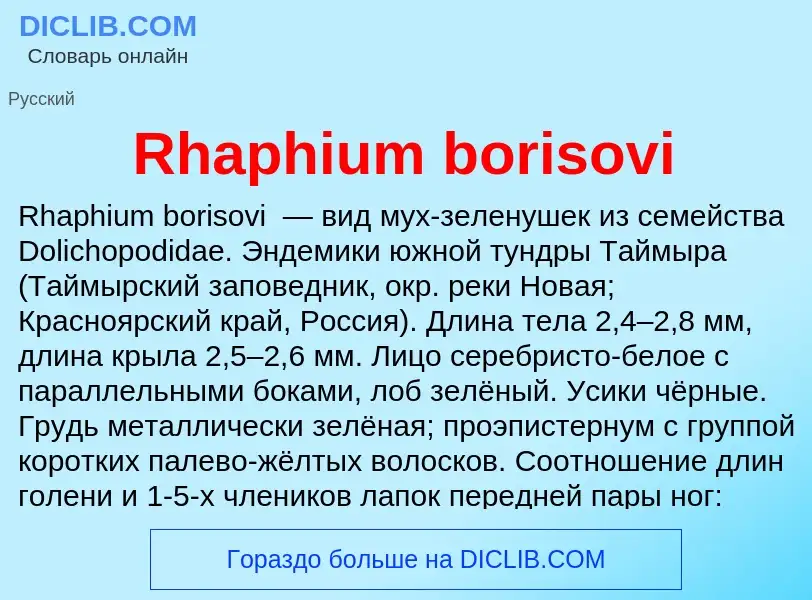 Что такое Rhaphium borisovi - определение