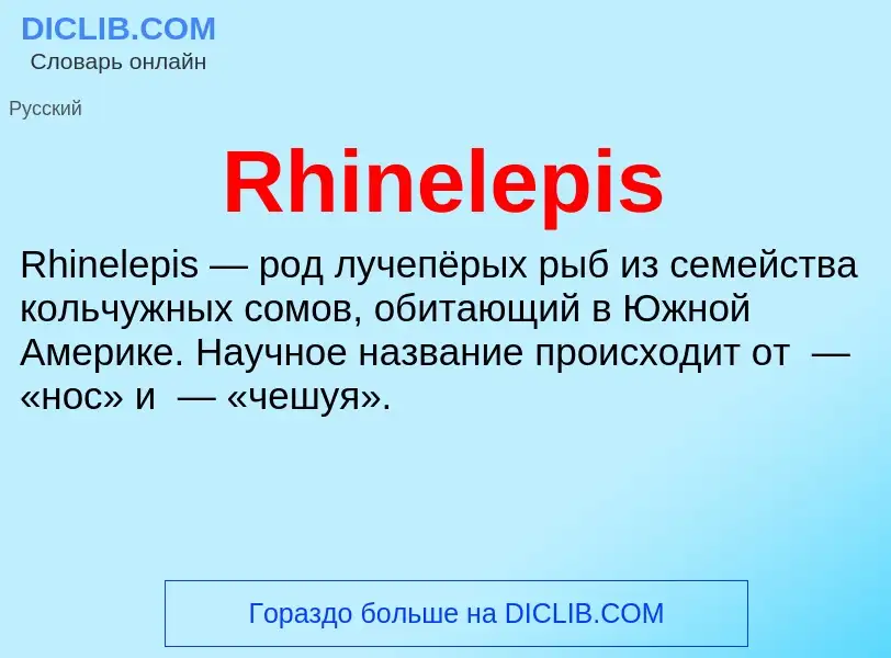 Что такое Rhinelepis - определение