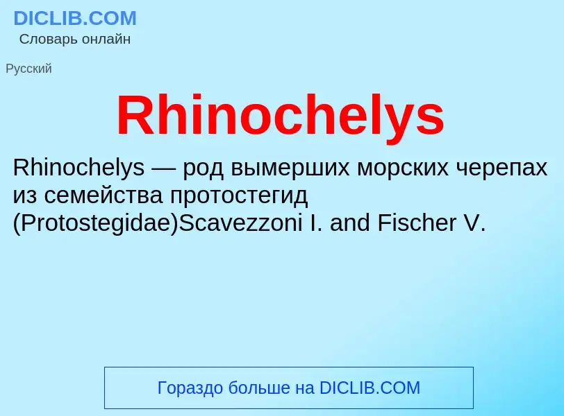 Что такое Rhinochelys - определение