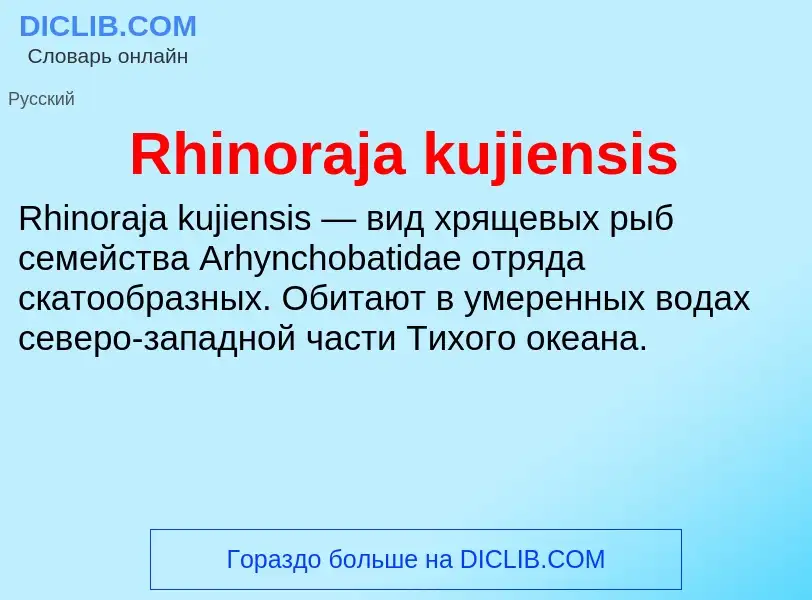 Что такое Rhinoraja kujiensis - определение