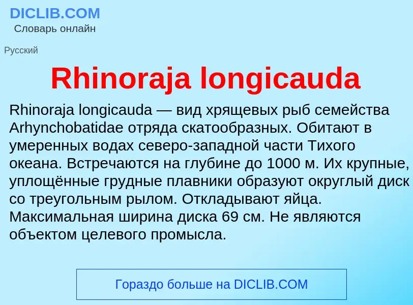 Что такое Rhinoraja longicauda - определение