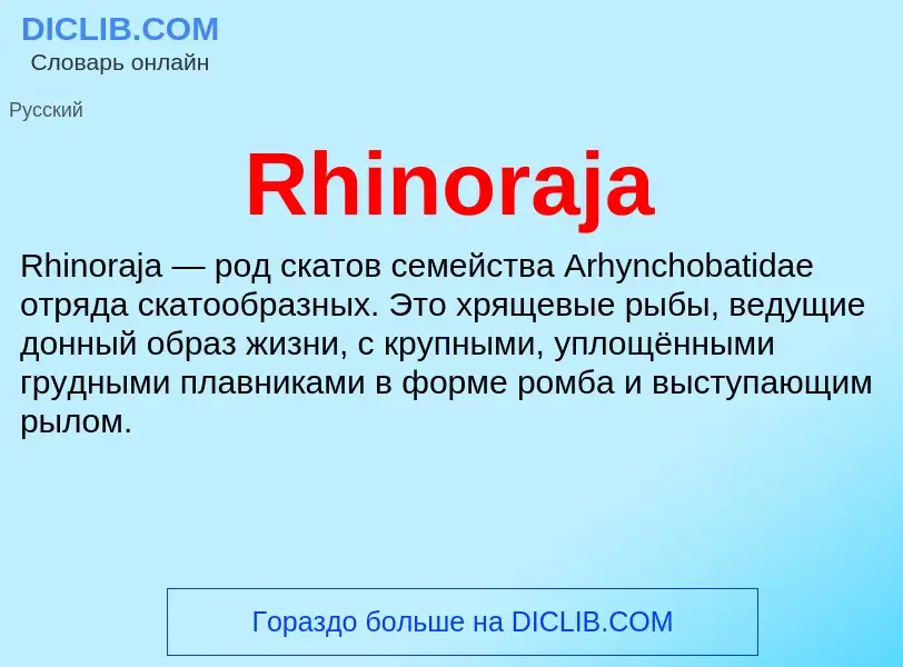 Что такое Rhinoraja - определение