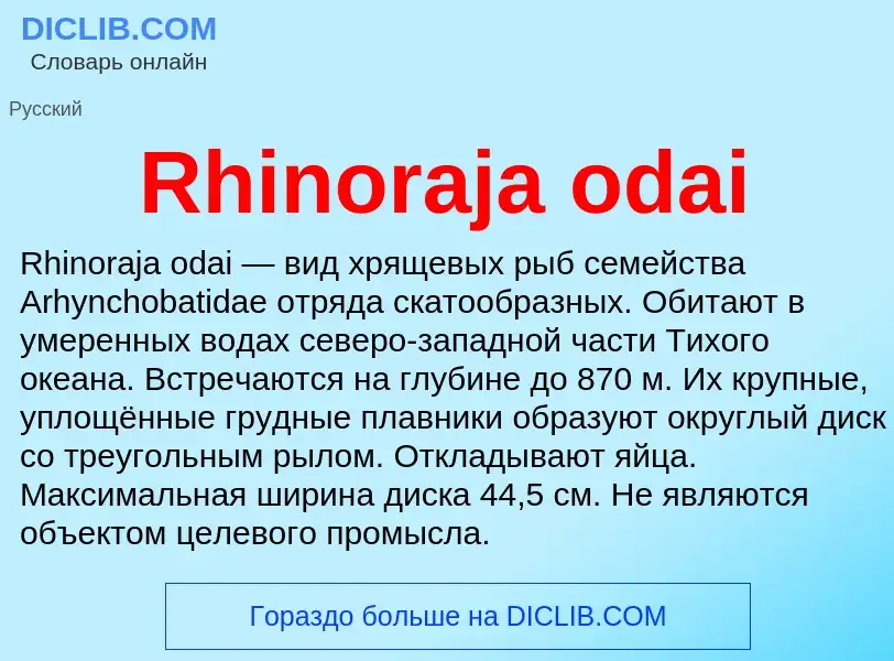 Что такое Rhinoraja odai - определение