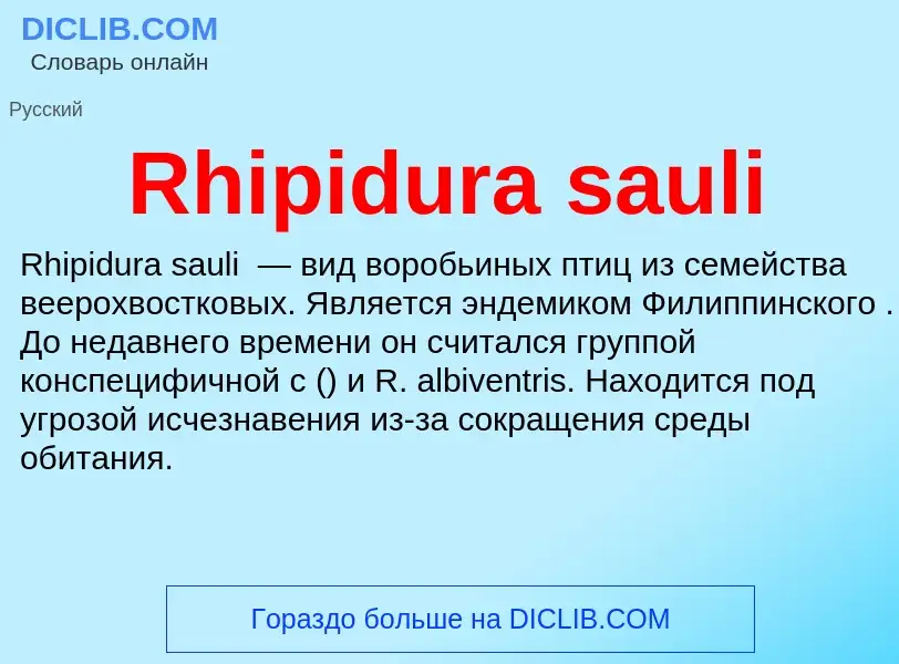 Что такое Rhipidura sauli - определение