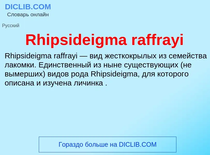 Что такое Rhipsideigma raffrayi - определение