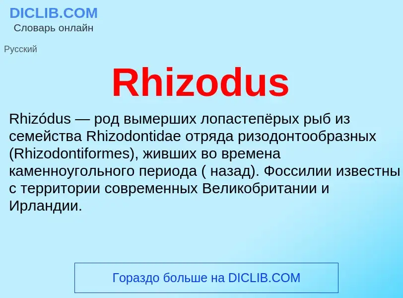 Что такое Rhizodus - определение