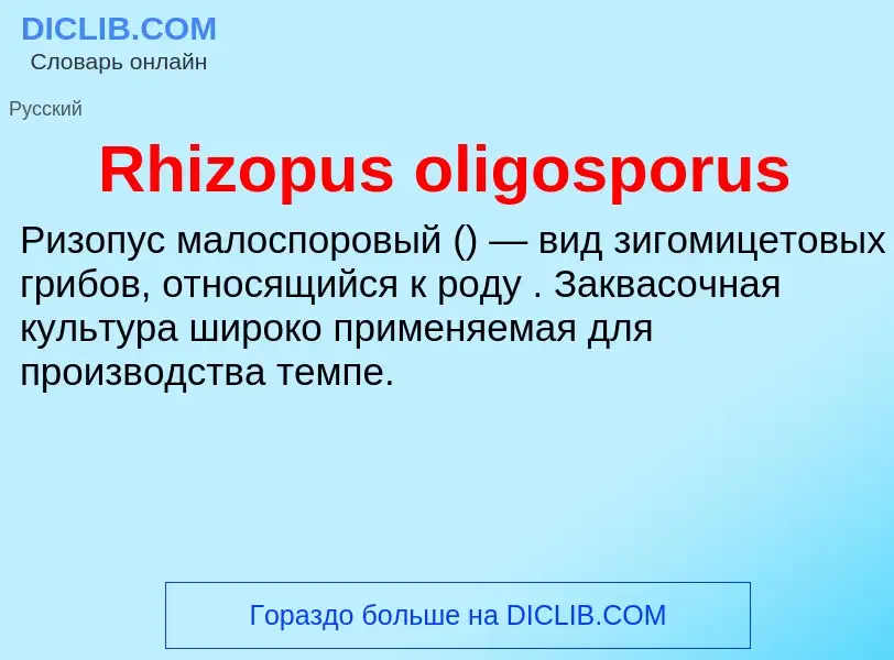 Что такое Rhizopus oligosporus - определение