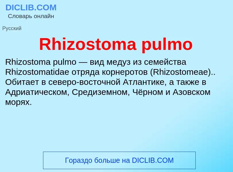 Что такое Rhizostoma pulmo - определение