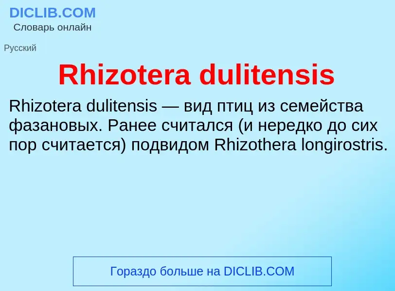 Что такое Rhizotera dulitensis - определение