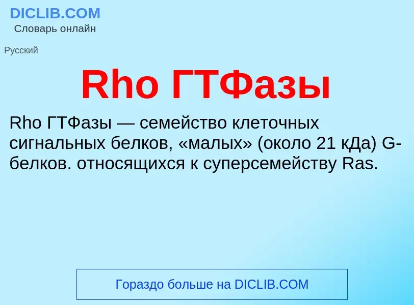 Что такое Rho ГТФазы - определение