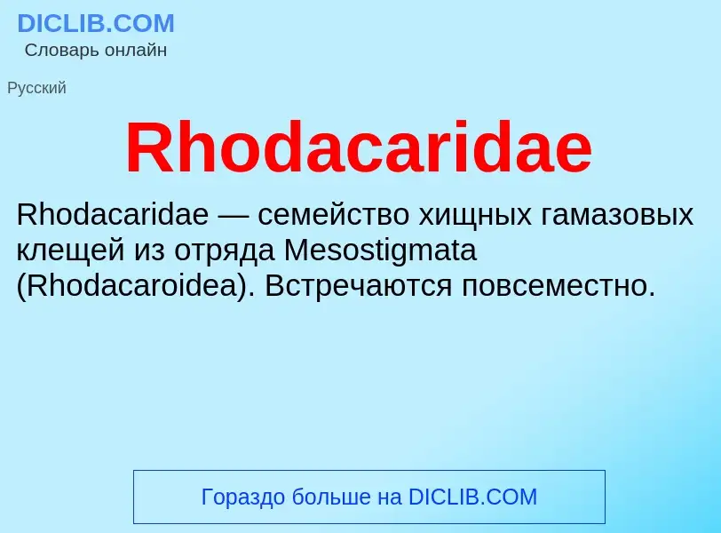 Что такое Rhodacaridae - определение