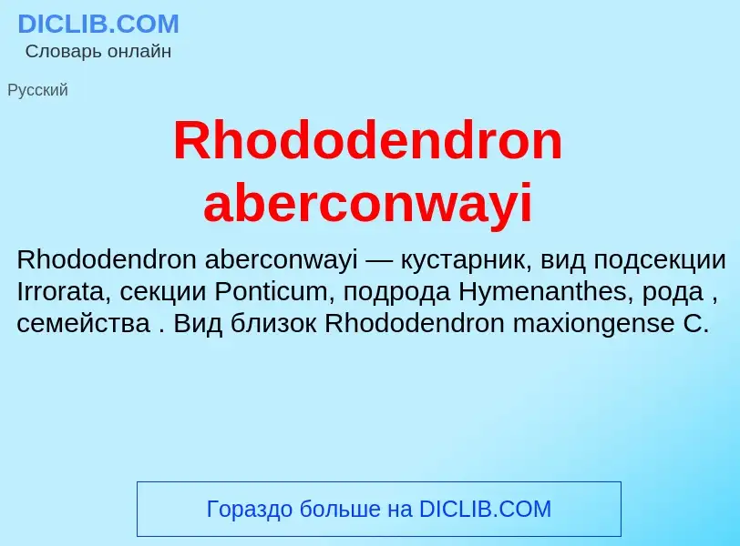 Что такое Rhododendron aberconwayi - определение