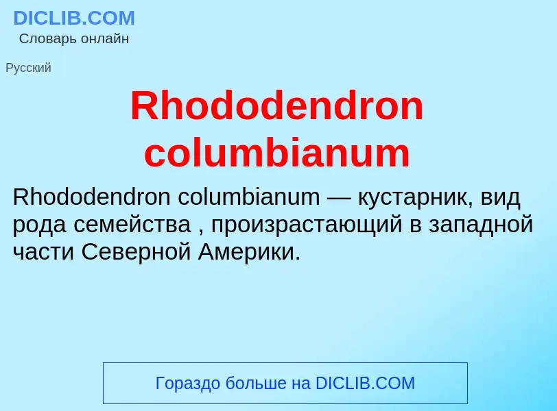 Что такое Rhododendron columbianum - определение