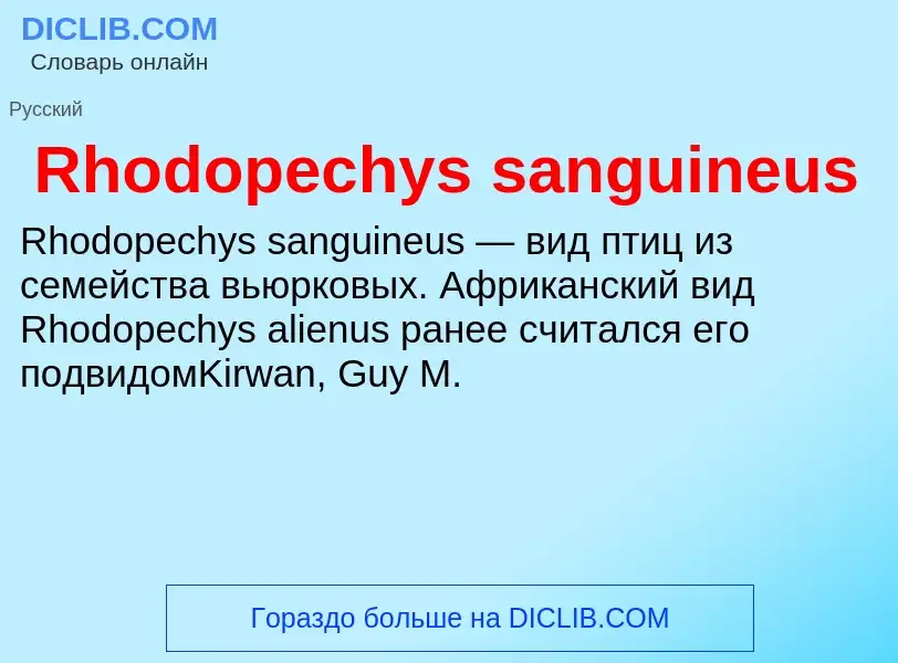 Что такое Rhodopechys sanguineus - определение