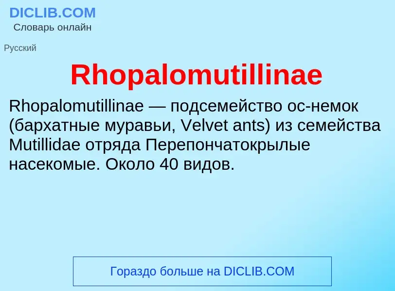 Что такое Rhopalomutillinae - определение