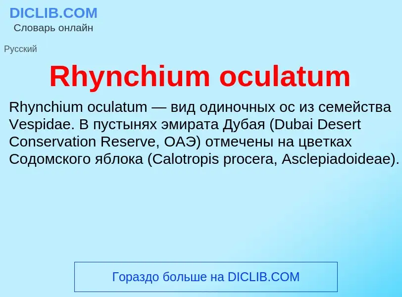 Что такое Rhynchium oculatum - определение