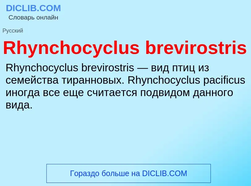 Что такое Rhynchocyclus brevirostris - определение