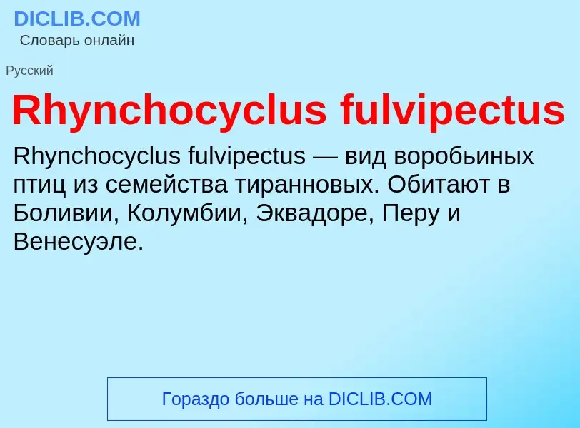 Что такое Rhynchocyclus fulvipectus - определение