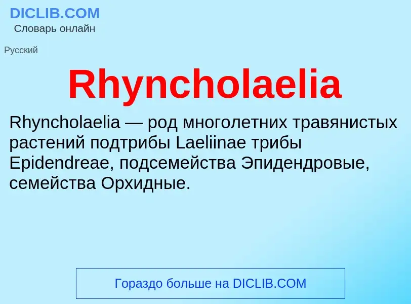 Что такое Rhyncholaelia - определение