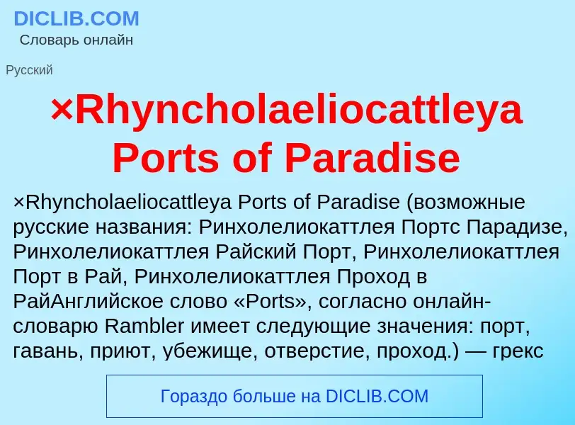 What is ×Rhyncholaeliocattleya Ports of Paradise - meaning and definition