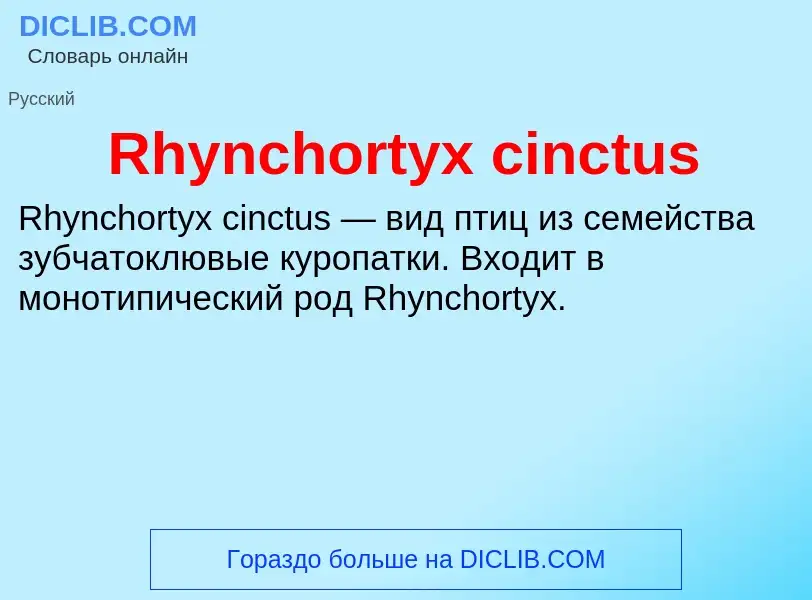 Что такое Rhynchortyx cinctus - определение