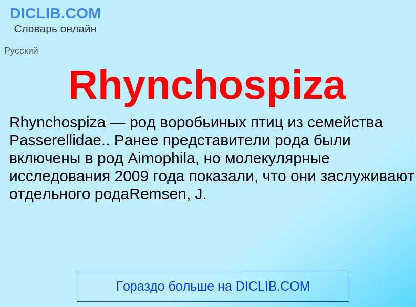 Что такое Rhynchospiza - определение