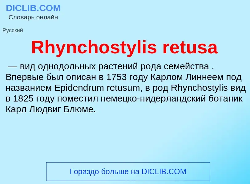 Что такое Rhynchostylis retusa - определение