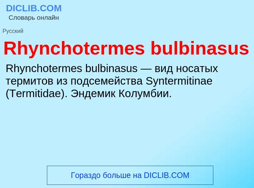 Что такое Rhynchotermes bulbinasus - определение