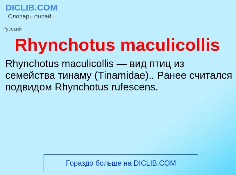 Что такое Rhynchotus maculicollis - определение