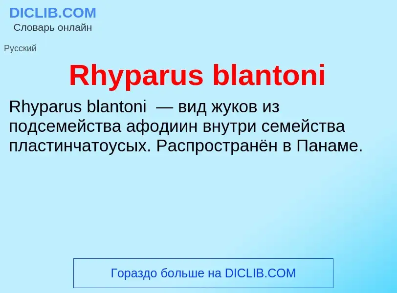 Что такое Rhyparus blantoni - определение