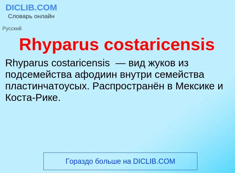 Что такое Rhyparus costaricensis - определение